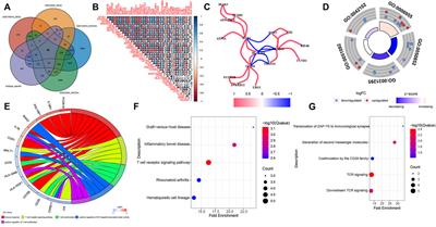 Comprehensive Analysis of Molecular Subtypes and Hub Genes of Sepsis by Gene Expression Profiles